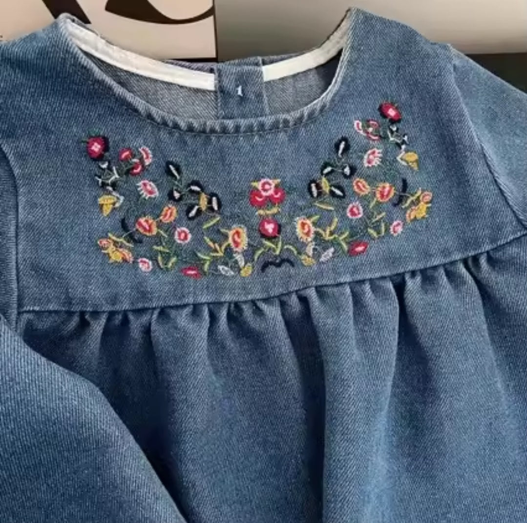 Embroidery denim dress