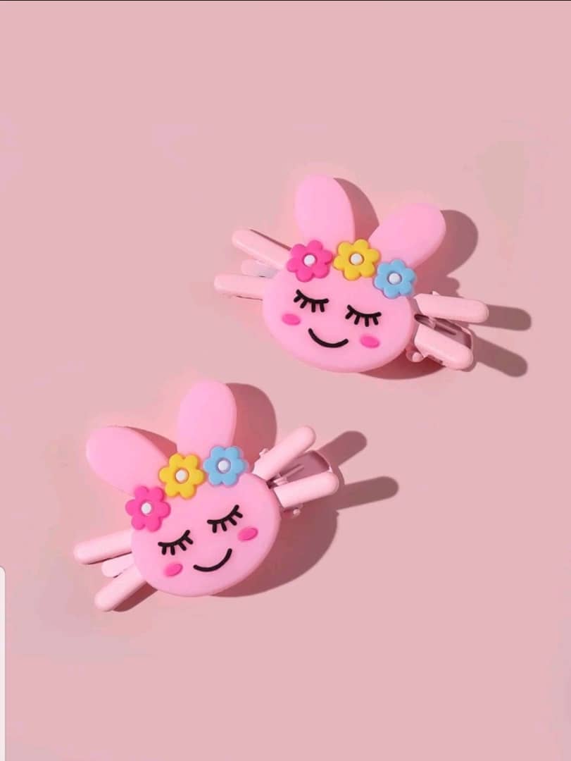 Cartoon clips 2pcs