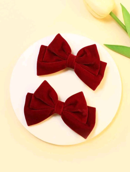 Hair clips 2pcs