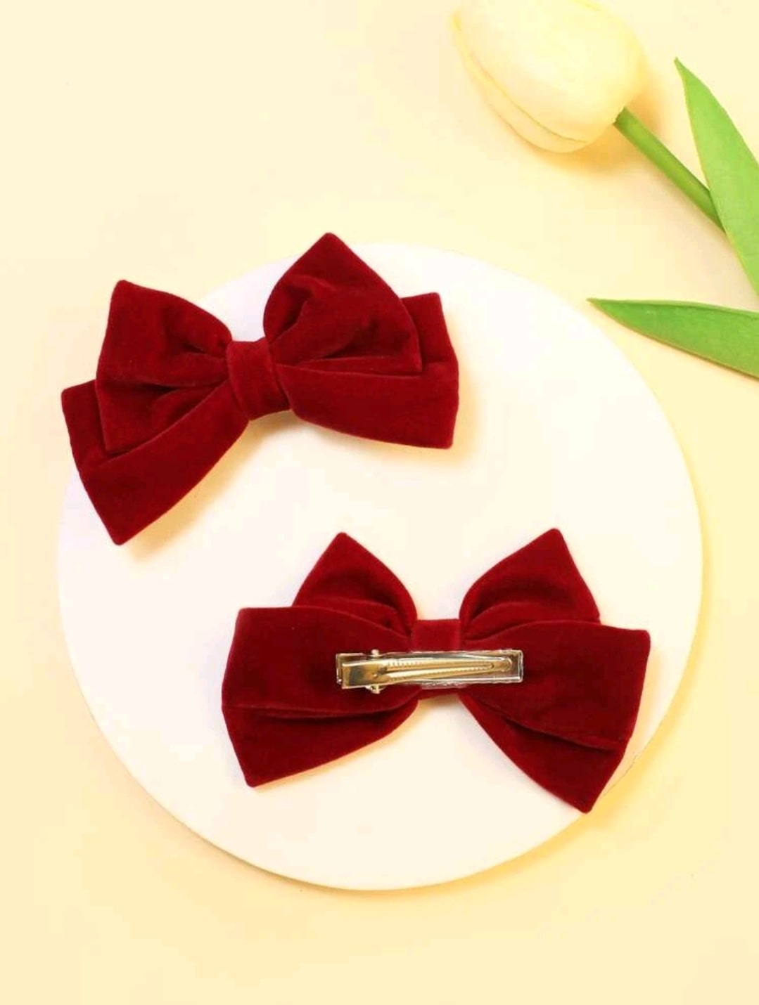 Hair clips 2pcs