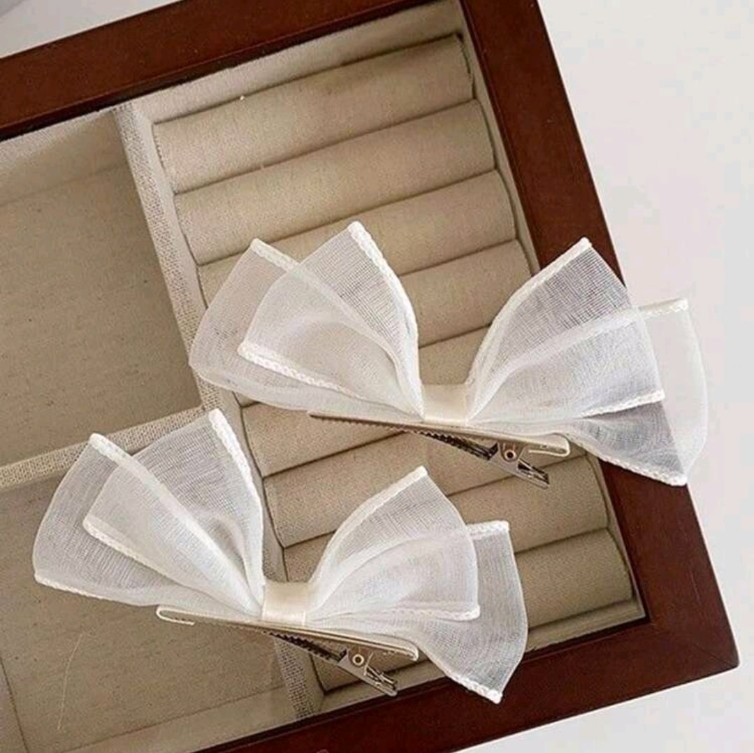 Ribbon clips 2pcs