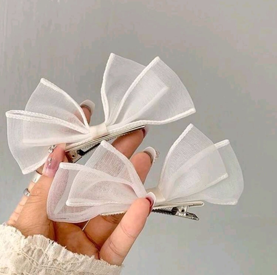 Ribbon clips 2pcs