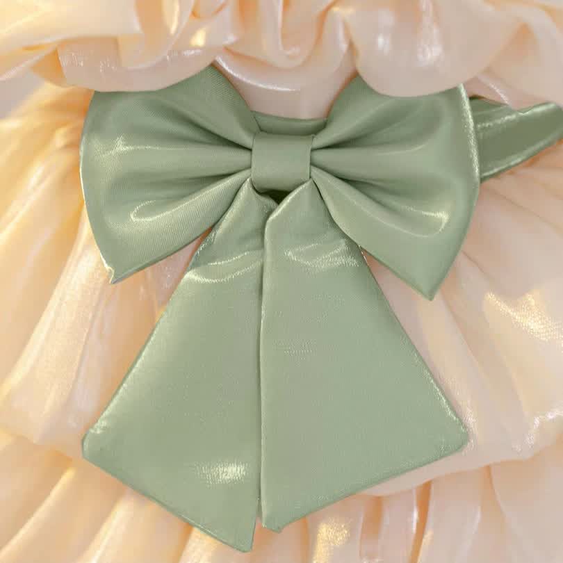 Bow wedding shiny dress